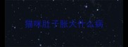猫咪肚子胀大什么病