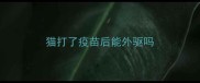 猫打了疫苗后能外驱吗