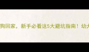 五个月大的狗狗回家新手必看这5大避坑指南幼犬养护全攻略