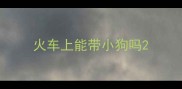 火车上能带小狗吗