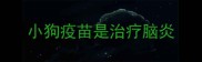 小狗疫苗是治疗脑炎