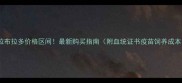 拉布拉多价格区间最新购买指南附血统证书疫苗饲养成本
