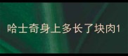 哈士奇身上多长了块肉