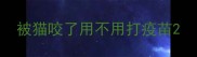 被猫咬了用不用打疫苗