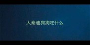 大泰迪狗狗吃什么
