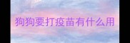 狗狗要打疫苗有什么用