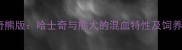 哈士奇熊版哈士奇与熊犬的混血特性及饲养指南