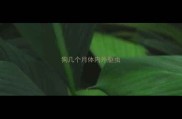 狗几个月体内外驱虫