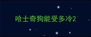 哈士奇狗能受多冷