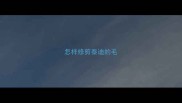 怎样修剪泰迪的毛