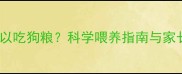 泰迪幼犬多大可以吃狗粮科学喂养指南与家长必看注意事项