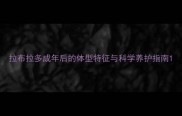 拉布拉多成年后的体型特征与科学养护指南