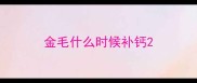 金毛什么时候补钙