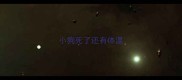 小狗死了还有体温
