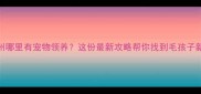 广州哪里有宠物领养这份最新攻略帮你找到毛孩子新家