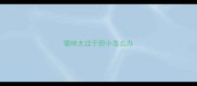 猫咪太过于胆小怎么办