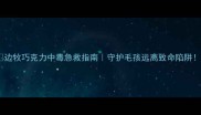 边牧巧克力中毒急救指南守护毛孩远离致命陷阱