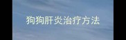狗狗肝炎治疗方法