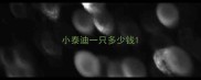 小泰迪一只多少钱