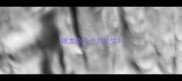 银龙鱼几个月会生