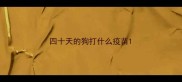 四十天的狗打什么疫苗