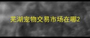 芜湖宠物交易市场在哪