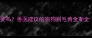 疫苗后剃毛有必要吗兽医建议的狗狗剃毛黄金期全附护理指南