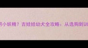 30天养出聪明小妖精吉娃娃幼犬全攻略从选狗到训练避坑指南