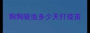 狗狗驱虫多少天打疫苗