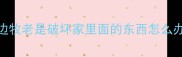 边牧老是破坏家里面的东西怎么办
