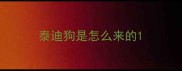 泰迪狗是怎么来的