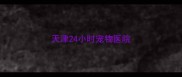 天津24小时宠物医院