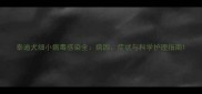 泰迪犬细小病毒感染全病因症状与科学护理指南