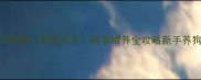 6个月大狗狗一日吃几次科学喂养全攻略新手养狗必看