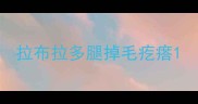 拉布拉多腿掉毛疙瘩