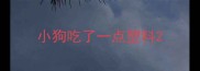 小狗吃了一点塑料