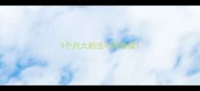 3个月大的法斗的食谱