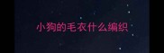 小狗的毛衣什么编织
