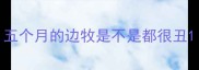 五个月的边牧是不是都很丑
