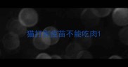 猫打完疫苗不能吃肉