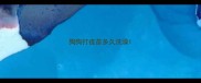 狗狗打疫苗多久洗澡