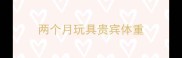 两个月玩具贵宾体重