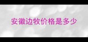 安徽边牧价格是多少