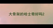 大骨架的哈士奇好吗