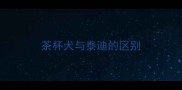 茶杯犬与泰迪的区别