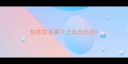 拉布拉多鼻子上长出白点