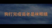 狗打完疫苗老是咪眼睛