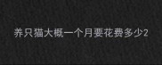 养只猫大概一个月要花费多少