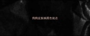 狗狗皮肤病黑色斑点