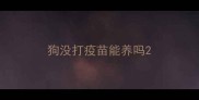 狗没打疫苗能养吗